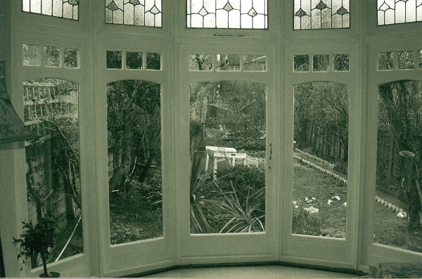 windows