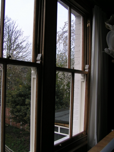 windows