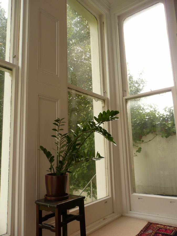 windows