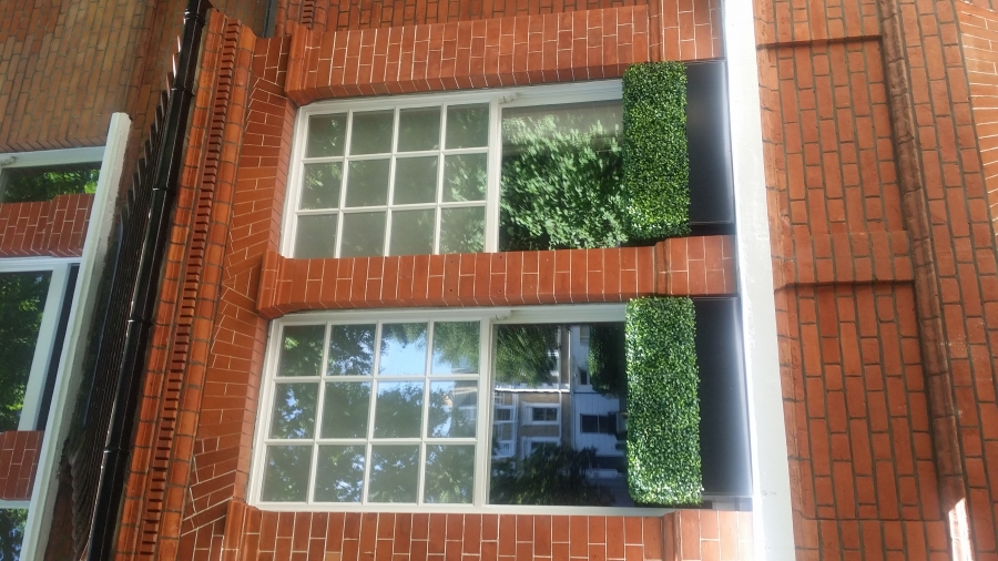 windows
