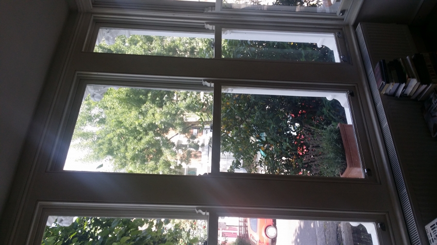 windows