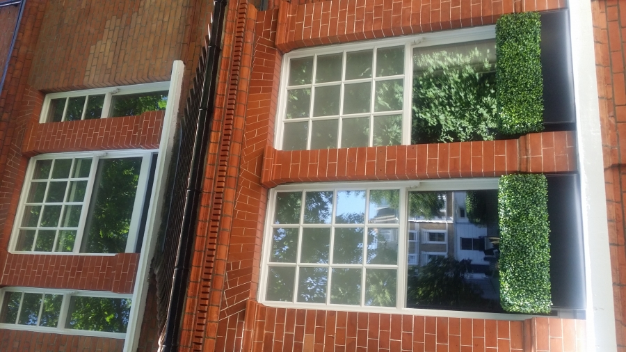 windows