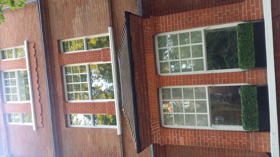 windows
