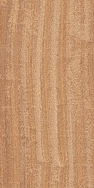 wood-types