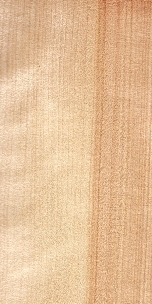 wood-types