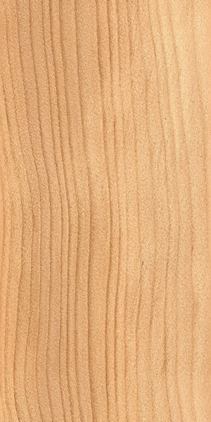 wood-types