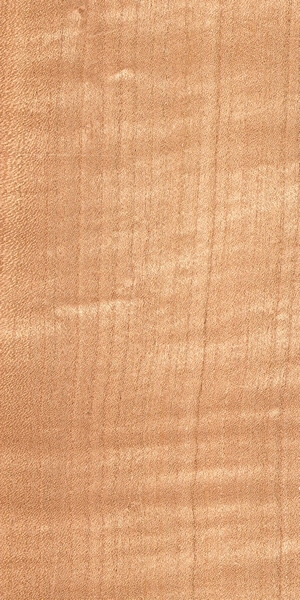 wood-types