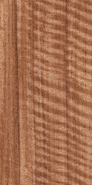 wood-types