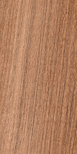 wood-types