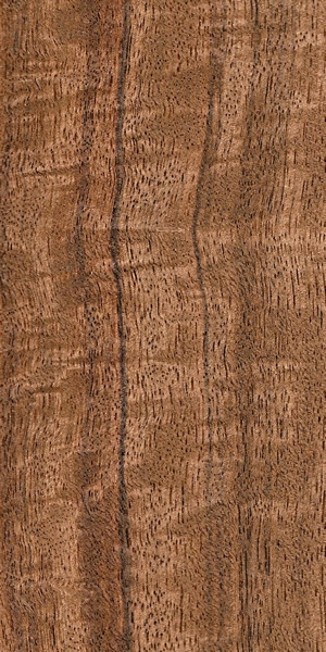wood-types