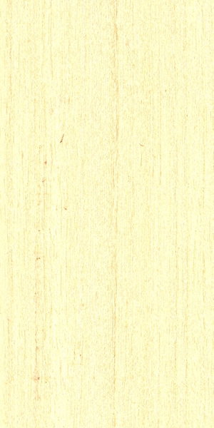 wood-types