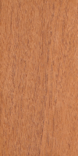 wood-types
