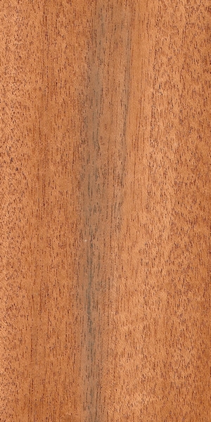 wood-types
