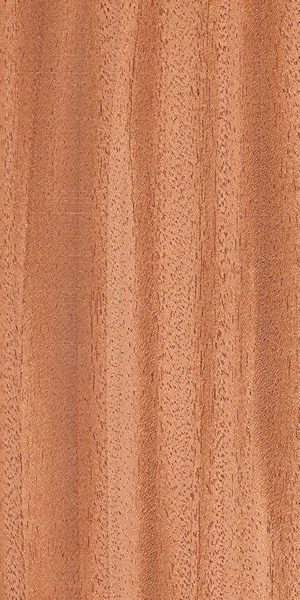 wood-types