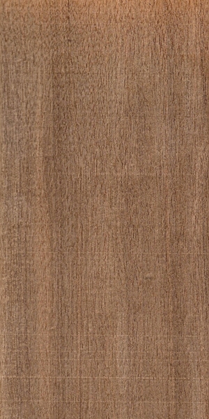 wood-types