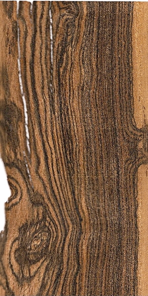 wood-types