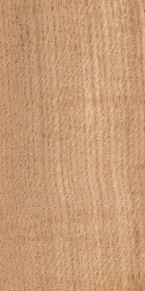 wood-types