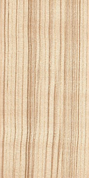 wood-types