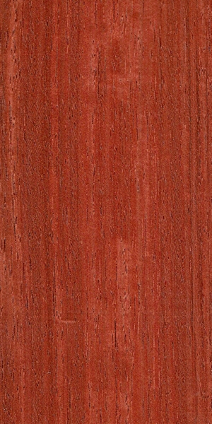 wood-types