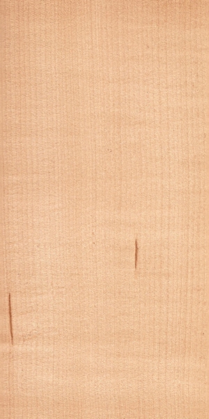 wood-types