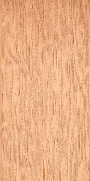 wood-types