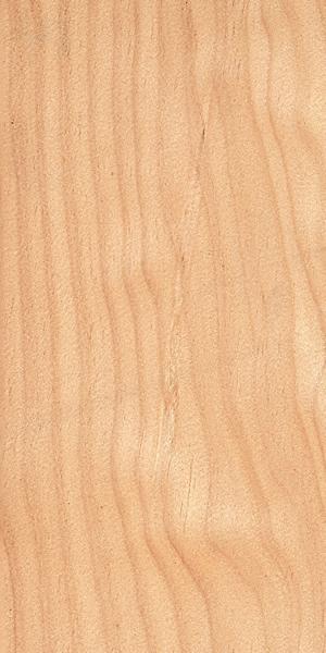 wood-types