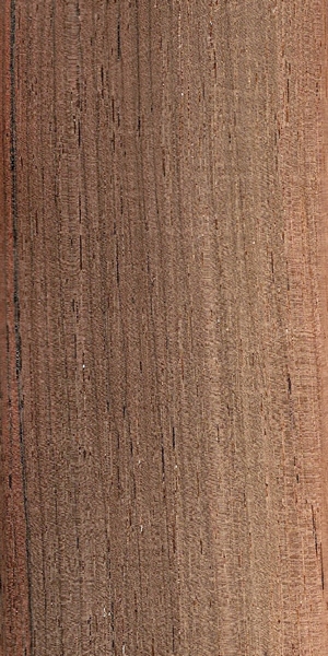 wood-types