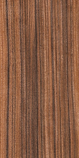 wood-types