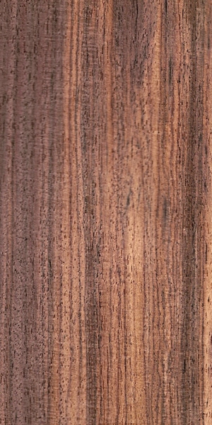 wood-types