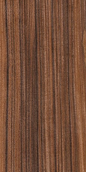 wood-types