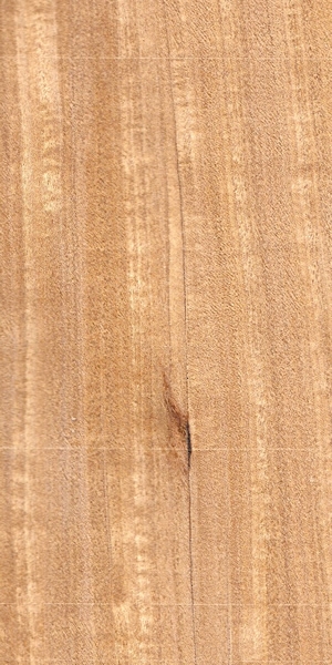 wood-types