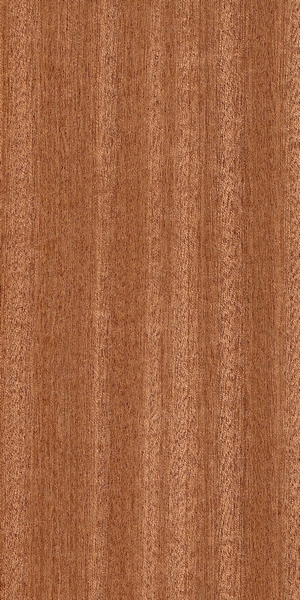 wood-types