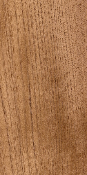 wood-types