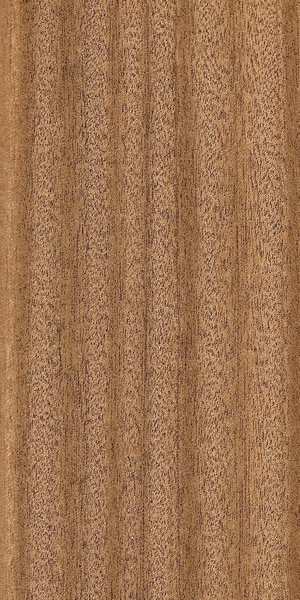 wood-types