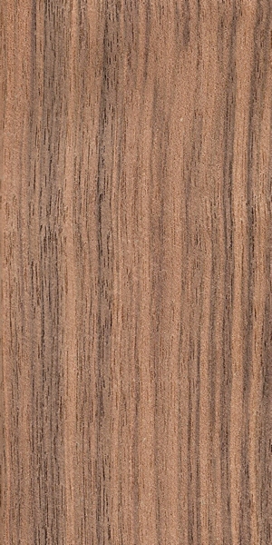 wood-types