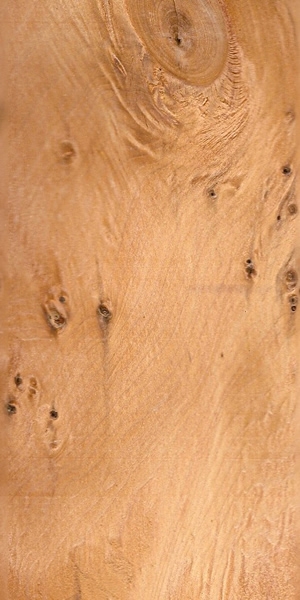 wood-types